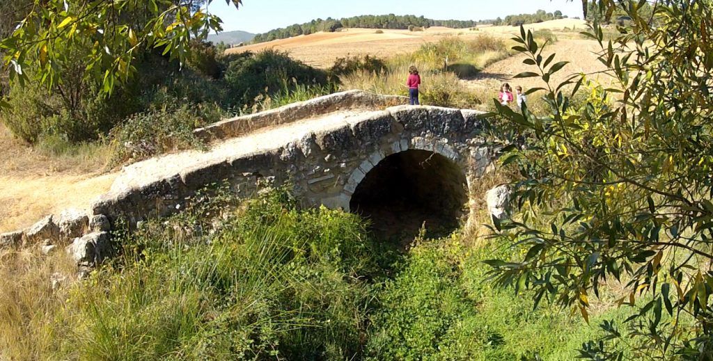 Fuentenava de Jábaga concede su Medalla de Oro al rey Felipe VI 3 pte romano chuicos b