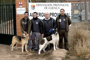 Tres nuevas adopciones en el Albergue Provincial de Animales de Cuenca en la recta final del año 2017