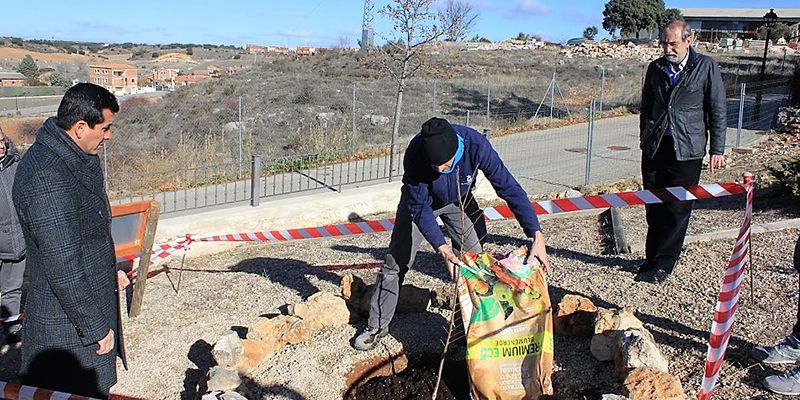 Yebes se suma al proyecto ‘Un olmo, mil historias’ con la plantación de un ejemplar inmune a la grafiosis