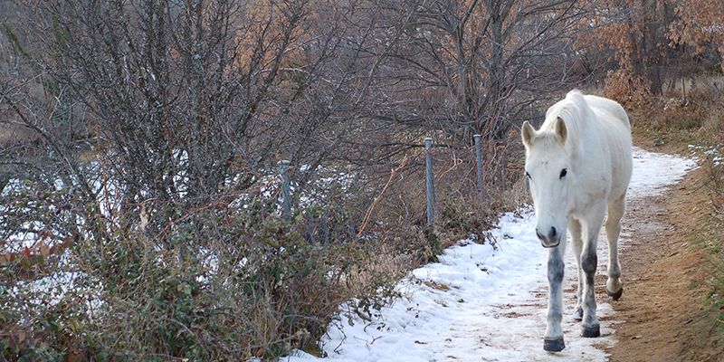 Activada la fase de alerta en las provincias de Cuenca y Guadalajara por nieve y bajas temperaturas