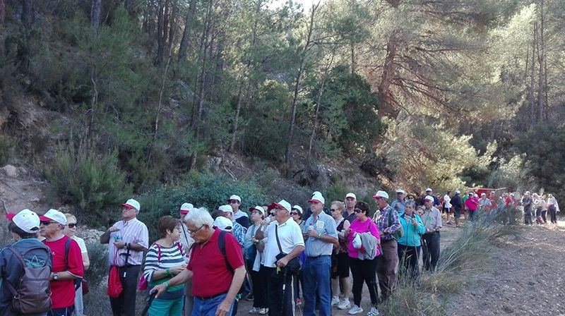 Alrededor de 500 personas han participado en las rutas senderistas del programa “Mayores en forma” de la provincia de Cuenca