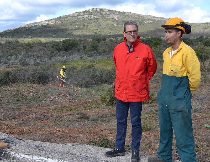 Aprobados más de 1,1 millón de euros en ayudas para tratamientos selvícolas en montes de la provincia de Guadalajara