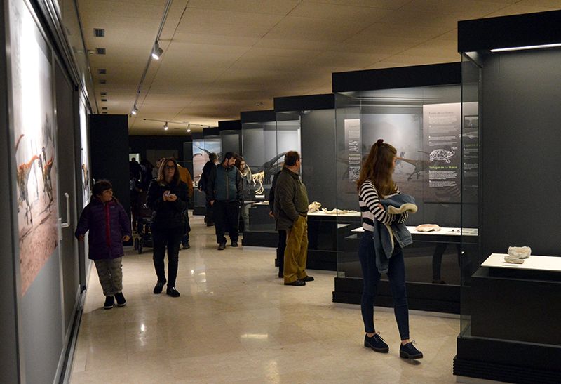 Cerca de 4.400 personas han visitado el Museo de Paleontología de Castilla-La Mancha durante los tres días de puertas abiertas