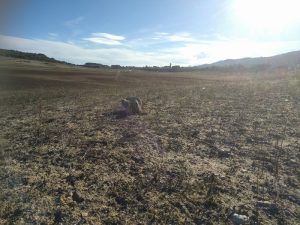 Cifras más que pesimistas Entrepeñas no registraba niveles tan bajos en diciembre desde 1954