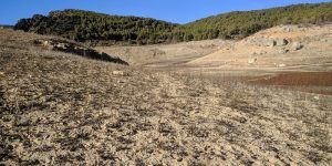 Durísimos calificativos de los Ribereños a la petición de un nuevo trasvase del Tajo al Segura