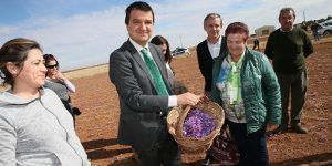 El Gobierno de Castilla-La Mancha impulsa la promoción de sus alimentos amparados en DO o IGP con 2,6 millones de euros en 2018