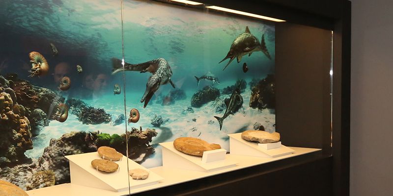 El Museo de Paleontología de Castilla-La Mancha celebra unas jornadas de puertas abiertas para dar a conocer sus nuevos contenidos