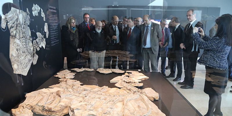 El Museo Paleontológico de Cuenca se convierte, tras su remodelación, en espacio museístico de referencia a escala nacional y europea