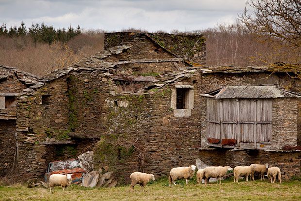 El próximo Consejo de Gobierno aprobará la convocatoria dirigida a entidades locales para llevar a cabo proyectos en zonas despobladas
