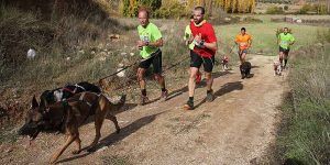 El próximo domingo, día 4 de febrero, se celebrará el II Canicross Popular de Pareja 2 El próximo domingo, día 4 de febrero, se celebrará el II Canicross Popular de Pareja