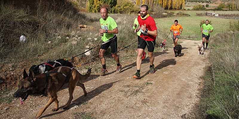 El próximo domingo, día 4 de febrero, se celebrará el II Canicross Popular de Pareja