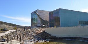 El renovado Museo de Paleontología ha recibido 47 reservas de centros educativos de Castilla-La Mancha, Madrid y la Comunidad Valenciana 2 El renovado Museo de Paleontología ha recibido 47 reservas de centros educativos de Castilla-La Mancha, Madrid y la Comunidad Valenciana