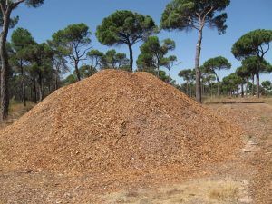 La Junta dará ejemplo en Cuenca y Guadalajara de lo que se "debe hacer en la lucha contra el cambio climático" 2 La Junta dará ejemplo en Cuenca y Guadalajara de lo que se debe hacer en la lucha contra el cambio climático