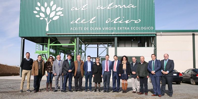 La Junta impulsa el olivar ecológico a través de inversiones en almazaras dentro de las ayudas a la industria agroalimentaria