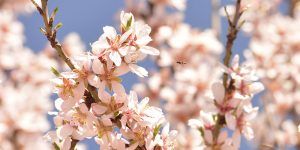 Laura Corral gana el concurso de fotografía de Quer