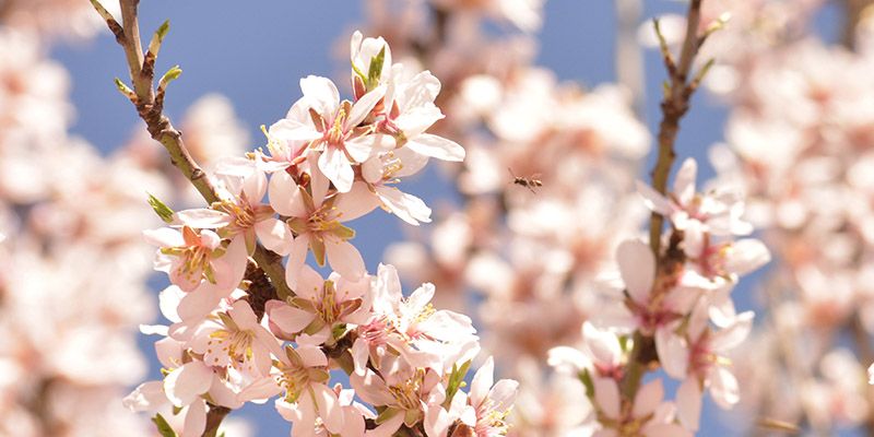 Laura Corral gana el concurso de fotografía de Quer