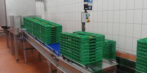 Noviembre fue un mes buenísimo para las exportaciones de la región aumentaron un 12,8 por ciento