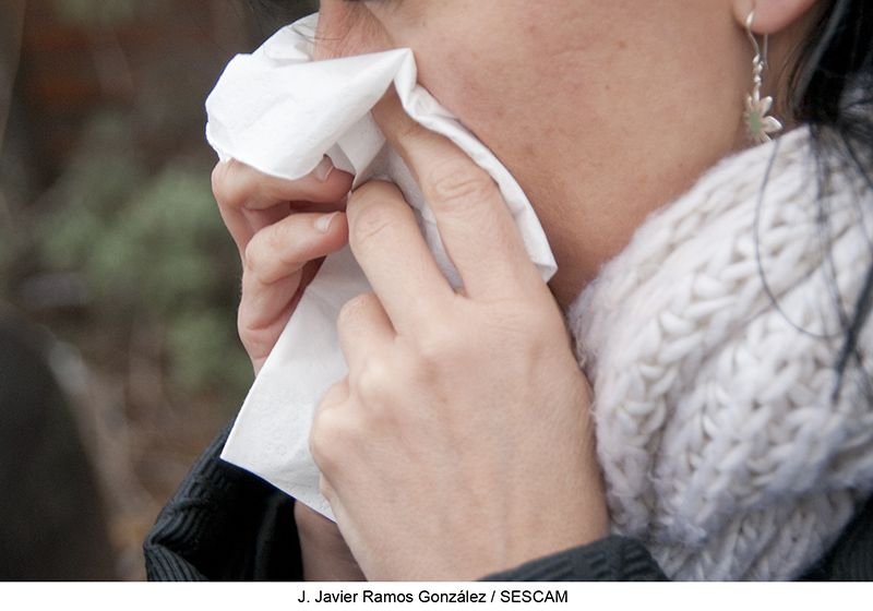 Sanidad reconoce que con 164,3 casos por cada 100.000 habitantes, Guadalajara se encuentra en nivel epidémico de gripe