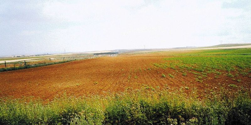 ASAJA Cuenca celebra la setencia que condena a ADIF a indemnizar a unos agricultores por los daños causados por los conejos