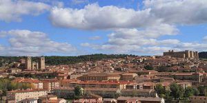 Campaña de adhesión de entidades locales de Sigüenza al Carné Joven Europeo
