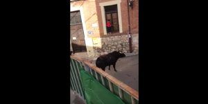 Dos heridos leves en el encierro de Iriépal que tuvo que ser suspendido