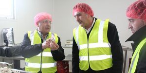 El Gobierno regional invirtió 10,10 millones de euros en reestructuración del viñedo en la provincia de Cuenca durante 2017