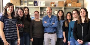 El grupo Oncología Traslacional del CRIB-CHUA propone nuevas vías para el tratar el cáncer de mama