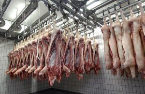 El Juzgado de lo Social de Cuenca tendrá la última palabra ante la demanda de UGT por presunta cesión ilegal de trabajadores contra Dat Schaub Gallent y Work Man