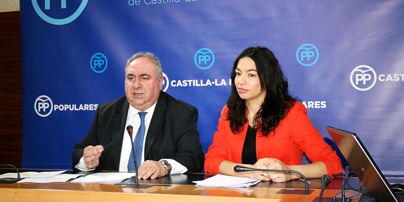 El PP propone la creación de una comisión no permanente de estudio para la elaboración de un dictamen que mejore las listas de espera