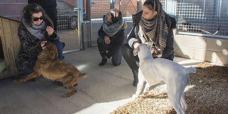 Hogar Amigo estrena instalaciones mejoradas alcanzando el “cero absoluto” en sacrificios