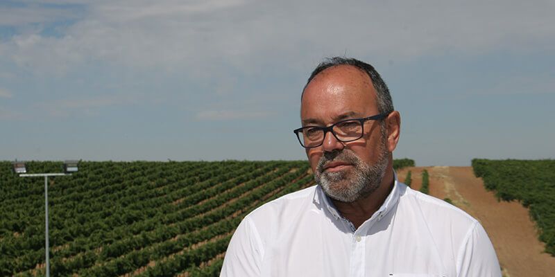 La mal llamada cadena alimentaria