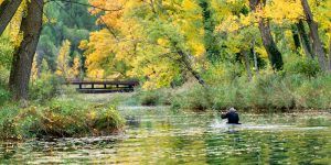 La regulación de los albergues turísticos de la región da sus primeros pasos