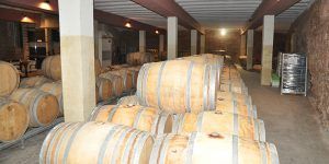 Las exportaciones en la provincia de Cuenca crecen por encima del 10% 2 Las exportaciones en la provincia de Cuenca crecen por encima del 10%