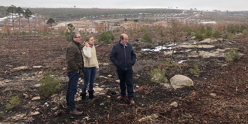 Más de un millón de euros al Plan de Mejoras en montes de utilidad pública de Guadalajara para 2018