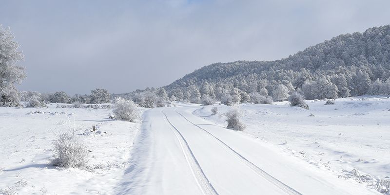 Un total de 2.884 alumnos de Cuenca se quedan sin clase a causa de la nieve