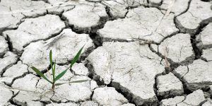 Unión de Uniones pide una Ley de Cambio Climático que cuente con los agricultores y ganaderos