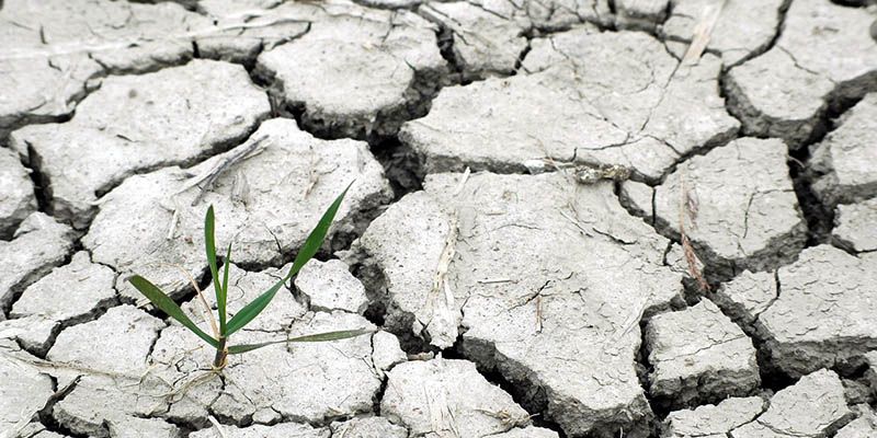 Unión de Uniones pide una Ley de Cambio Climático que cuente con los agricultores y ganaderos