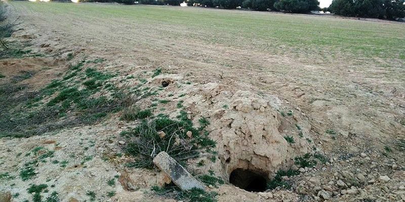 Asaja CLM exige a Agricultura que no renueve el Decreto que aprueba el Plan General del Conejo de Monte