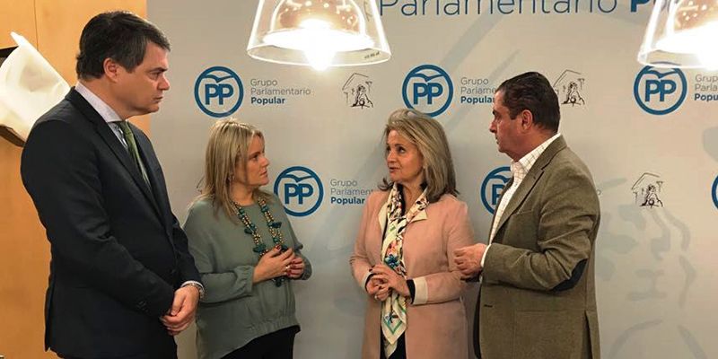 Bonilla “El PSOE antepone sus ansias electorales y da un portazo al Pacto de Estado por la Educación”