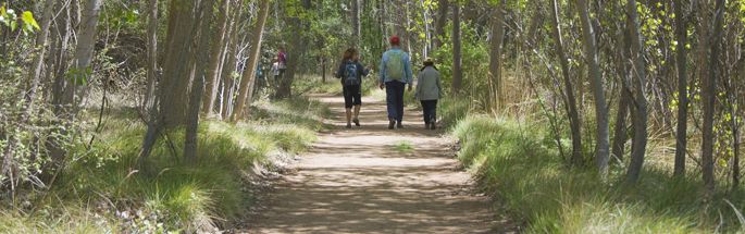 Castilla-La Mancha lanza una serie de recomendaciones a la ciudadanía durante la época de peligro medio por incendio forestal en Semana Santa