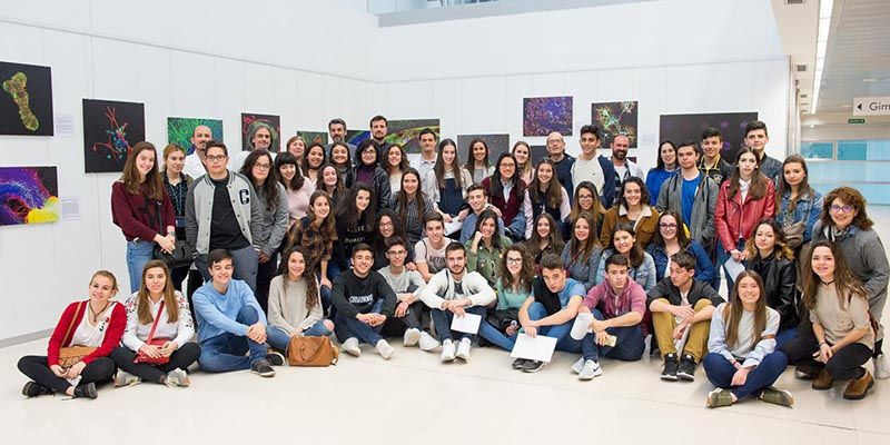 El Hospital de Parapléjicos, el Complejo Hospitalario de Toledo y Castilla-La Mancha Media se unen para celebrar la Semana del Cerebro