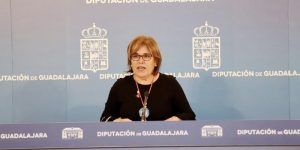 Enjuto se pregunta “si la Junta considera que con un presupuesto de 9.200 millones de euros, aportar 5.000 euros es apoyar al sector apícola de nuestra región”