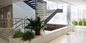 Pediatría, Urgencias de Primaria, Odontología y Fisioterapia son los servicios que continuarán en el Centro de Salud “Cuenca IV”