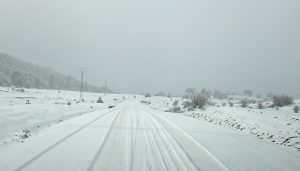 Un total de 82 alumnos de Cuenca regresan antes del colegio a causa de la nieve