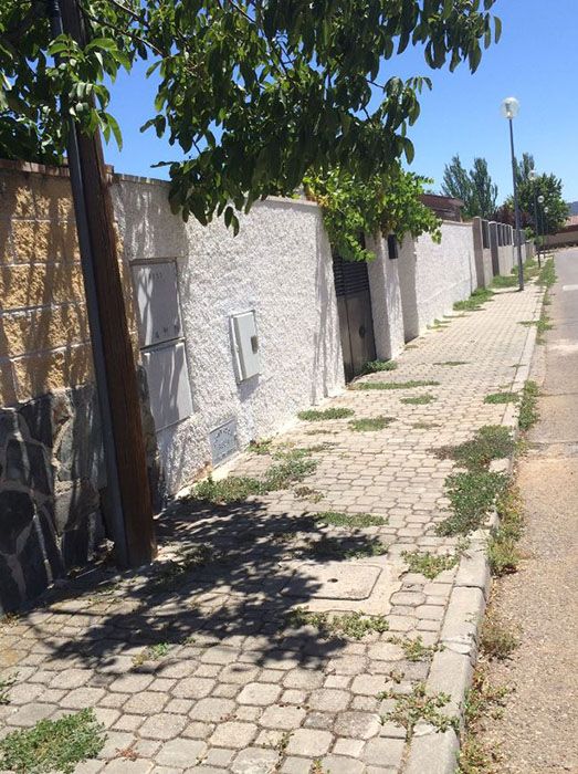 Arranca en Cabanillas la campaña anual de tratamiento contra las malas hierbas 3 Arranca en Cabanillas la campaña anual de tratamiento contra las malas hierbas