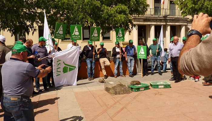 Asaja CLM culpa a las administraciones del malestar social y las pérdidas económicas causadas por los conejos