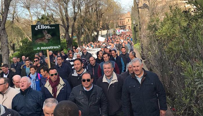 El PP exige a Page que no dé la espalda a los agricultores y declare de manera inmediata plaga de conejos