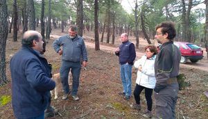 La Diputación de Guadalajara prepara una nueva orden de subvenciones para ayudar a los resineros