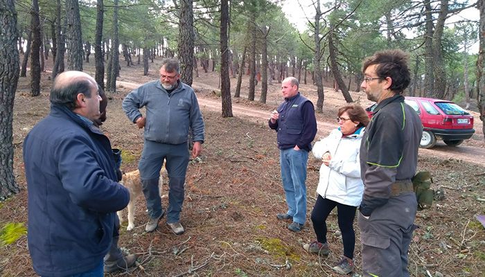 La Diputación de Guadalajara prepara una nueva orden de subvenciones para ayudar a los resineros