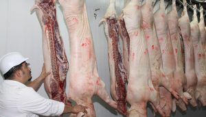 UGT FICA CLM no descarta movilizaciones en el sector cárnico regional por los“falsos autónomos”